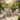 Outsunny 4 Piece Rattan Garden Furniture Set with Loveseat, 2 Armchairs, Table, Metal Frame Patio Conversation Set, Cream White